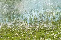 Wallonische Welt - 1