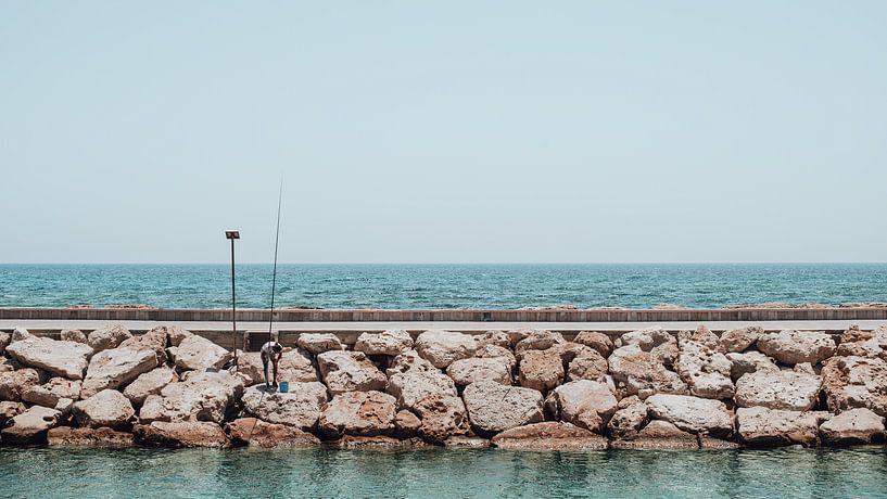 De vangst inspecteren. Is de vis genoeg voor het avondeten? van Jonas Röjestål