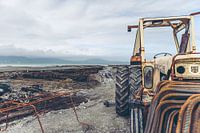 Ierland | Oesterkwekerij