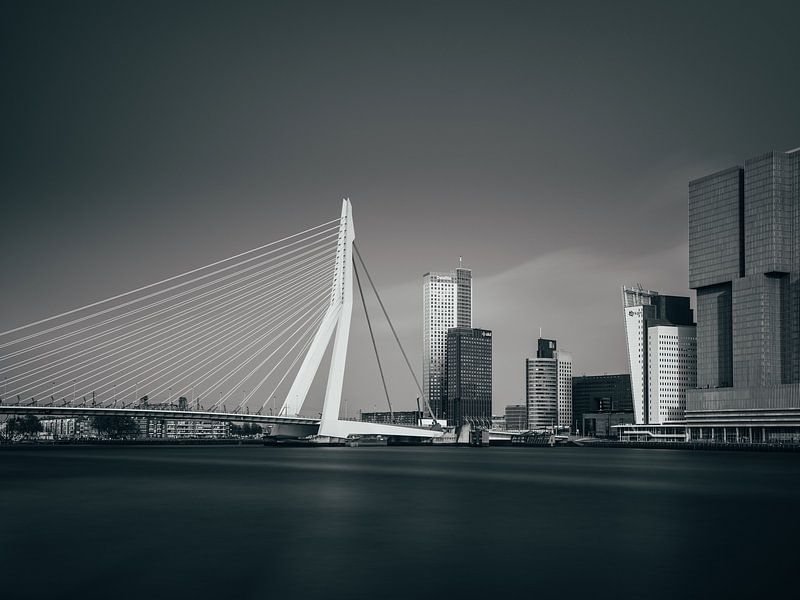 Skyline of Rotterdam with Erasmus Bridge by Lorena Cirstea