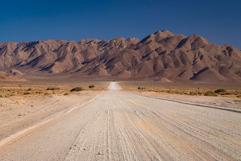 Landschaft in Namibia von Willemijn Wolthaus