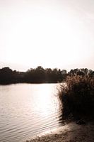 Serene Lake bei Sonnenuntergang: Eine Oase der Ruhe