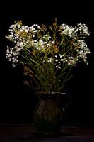 Stillleben Schleierkraut Blumen in Vase klassisch
