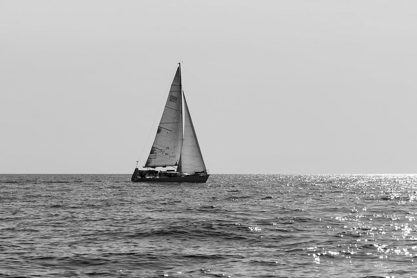 Voile en mer : beauté classique en noir et blanc par thomaswphotography