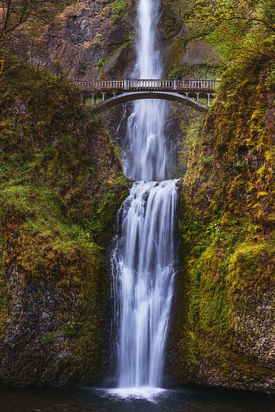 Multnomah Falls Portland Oregon - Pacific Northwest Waterfall Photo - Professional Landscape Photography by Daniel Forster