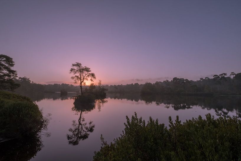 Sunrise at the Oisterwijk fens by Moetwil en van Dijk - Fotografie
