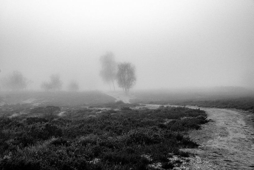 &quot;To what lies ahead&quot; von Pascal Raymond Dorland