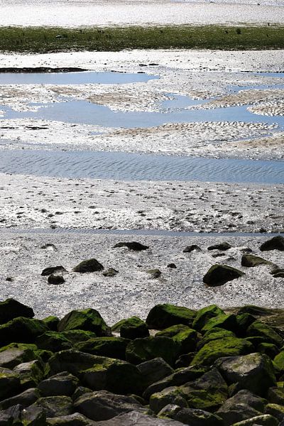 Côte de la mer du Nord en Hollande par Thomas Jäger