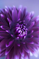 die Natur von ihrer schönsten Seite