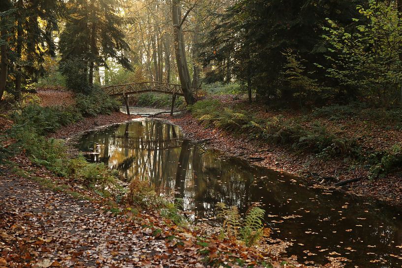 Wasser auf der Fraeylemaborg von Pim van der Horst