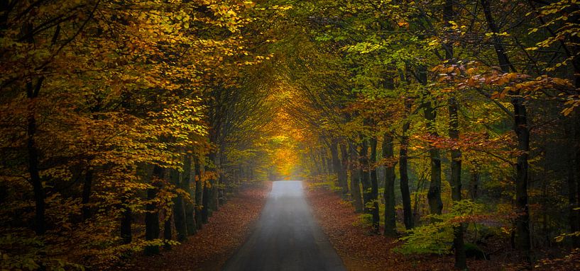 Panorama de la scène d'automne par Pascal Raymond Dorland