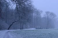 Domaine d'Amelisweerd