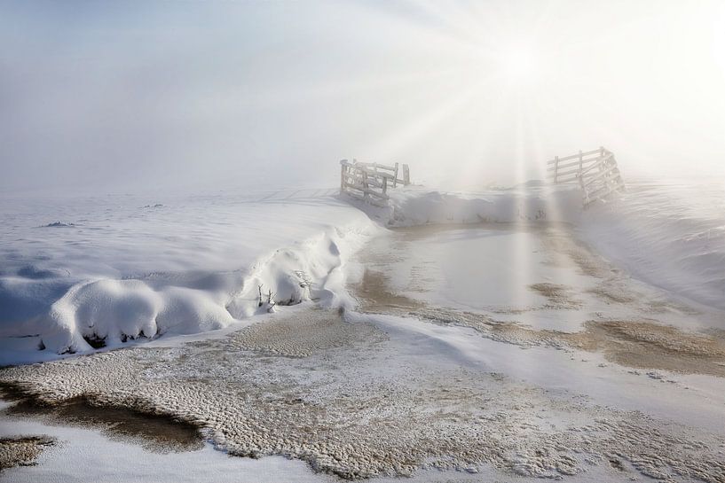 Winter in der Alblasserwaard von Ko Hoogesteger