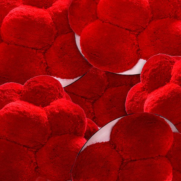 Bollen Hoeden van het Zwarte Woud 3.0 van Ingo Laue