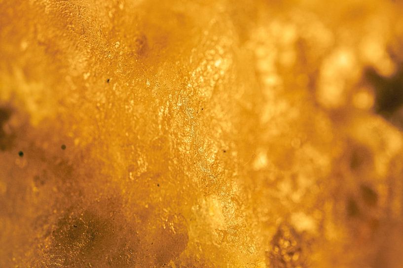 Champagner/Goldmuster von Larissa Krom