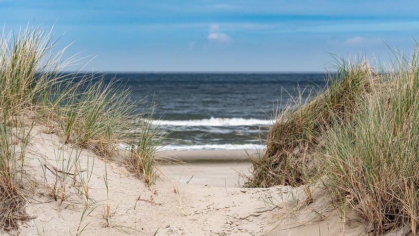 Naar het strand van Remco Piet