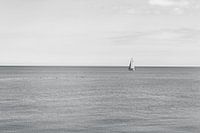 Sailing Sailboat