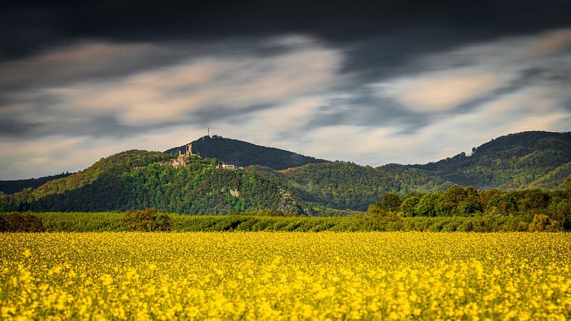 Wachtberg von Jens Unglaube
