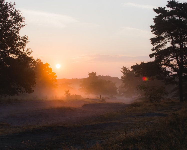 Before the heat hits by Angelique Theunissen