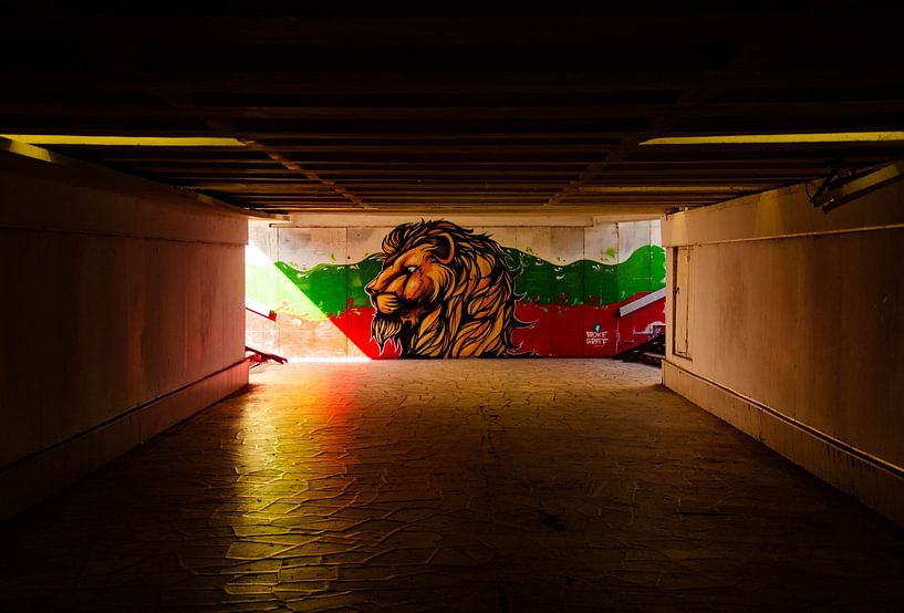 Jah Bulgaria !! par Nicolas Deman