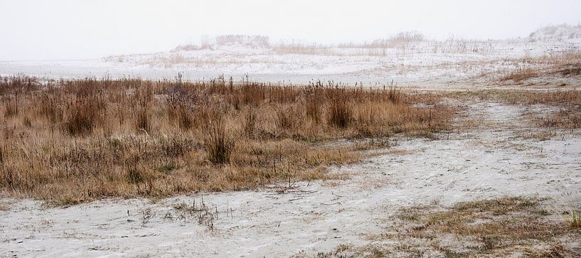 Mistige morgen op Schiermonnikoog by Wies Steenaard