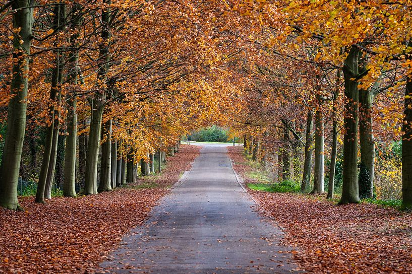 Herbst in Flandern von Werner Lerooy