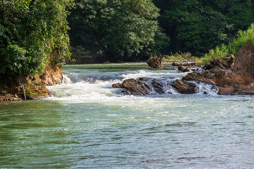 Rivière Sarapiquí, Selva Verde, forêt tropicale humide au Costa Rica par Mirjam Welleweerd