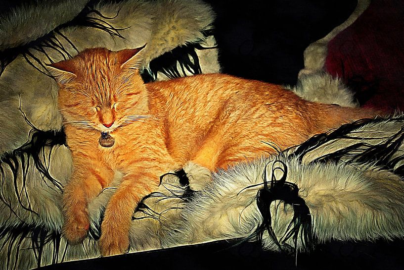 Fast schlafende Ingwerkatze von Dorothy Berry-Lound