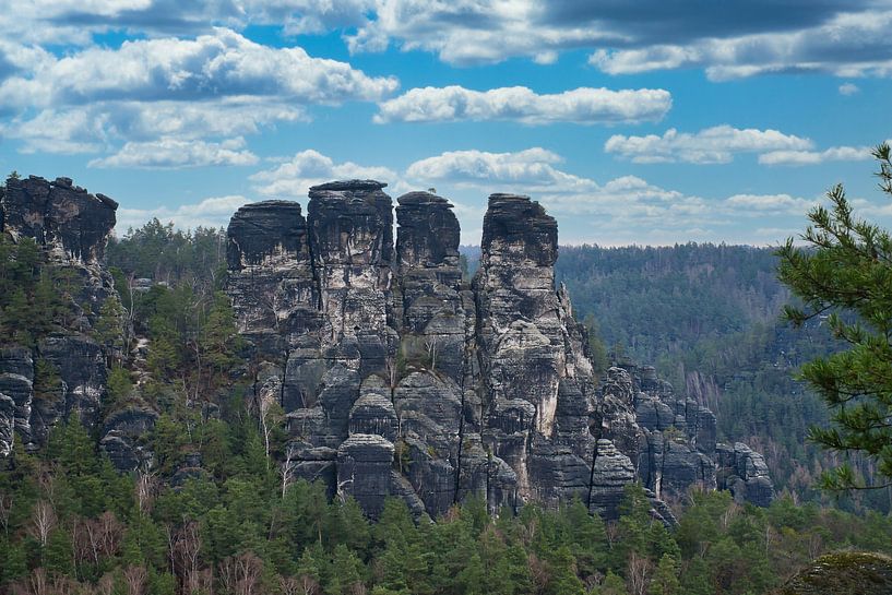 Rocks in the Elbe Sandstone Mountains at the Bastei by Martin Köbsch