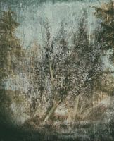 Für alles gibt es eine Zeit