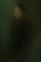 Green Night Vison - Conceptual photo art print