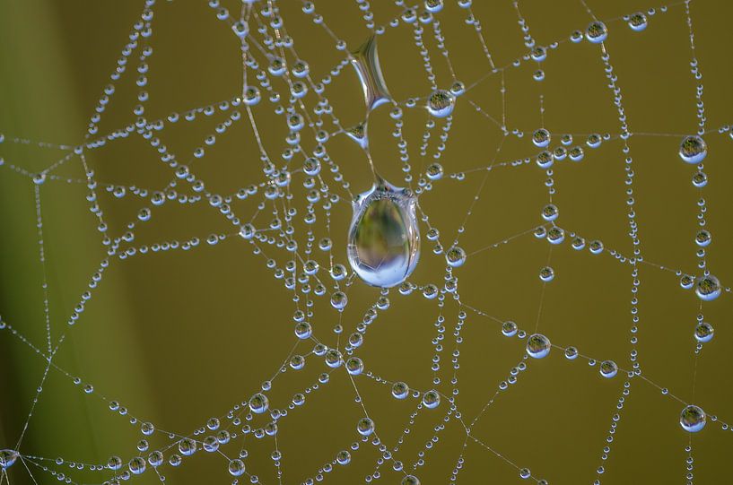 Spiegeltje Spiegeltje  by Boris de Weijer