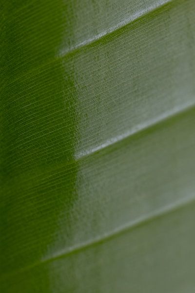 Summer magazine by Marika Huisman fotografie