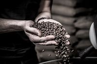 Coffee roastery (craft in close-up)