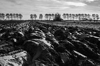 Die flämischen Polder