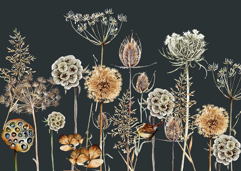 Paysage d'hiver branches troglodytes par Geertje Burgers