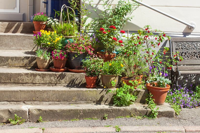Steps with flower pots by Torsten Krüger