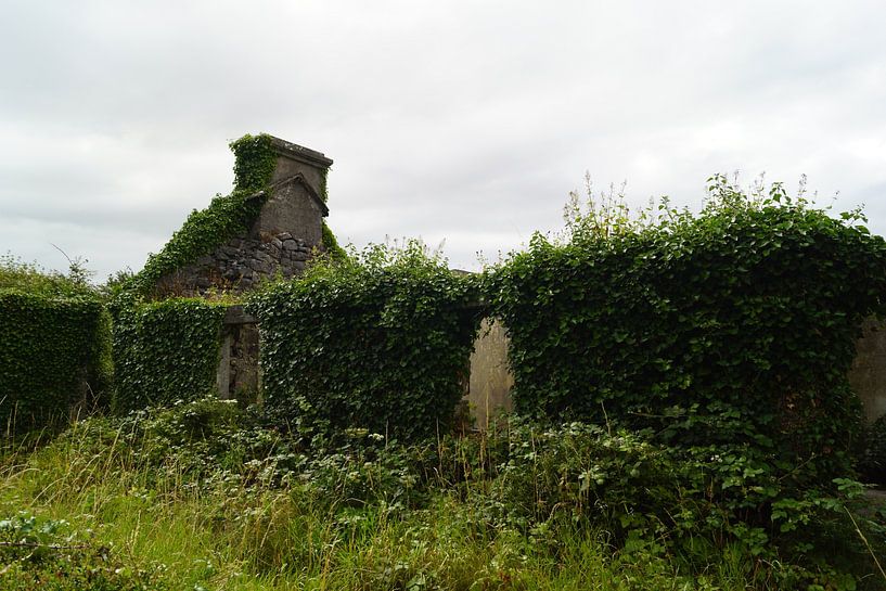Ruine in Kinvara von Babetts Bildergalerie