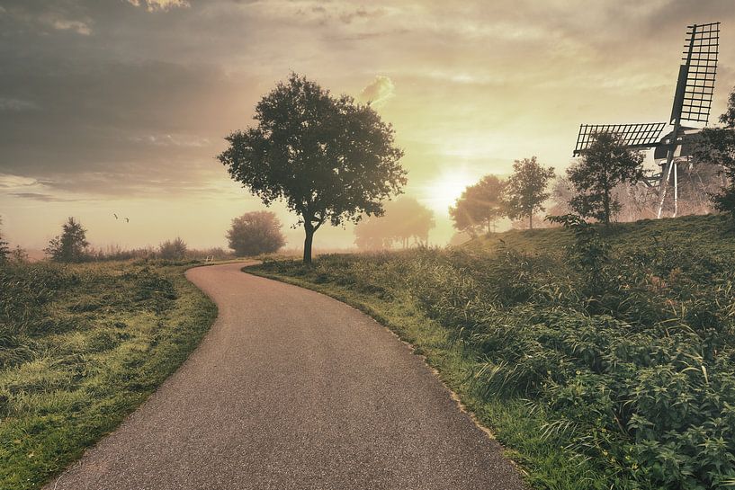 Magical morning by Marcel Kieffer