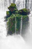 The floating island - Iguaçu, Argentina