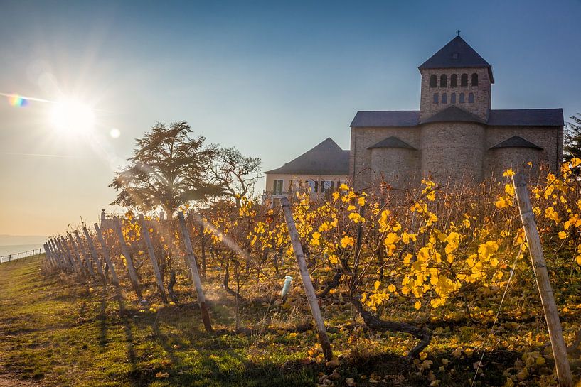 Herbstsonne auf Basilika Johannisberg im Rheingau van Christian Müringer