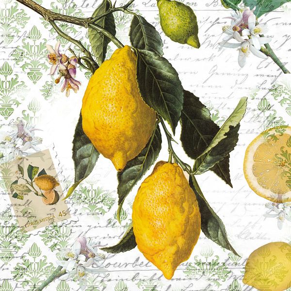 Zitronenzweig von christine b-b müller