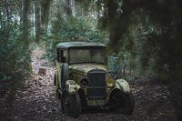 Un vieux routier oublié dans la forêt
