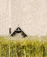 EBENERDIGES GARTENHAUS