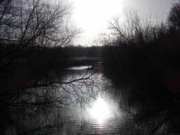 Winter zon weerspiegeling in het water.
