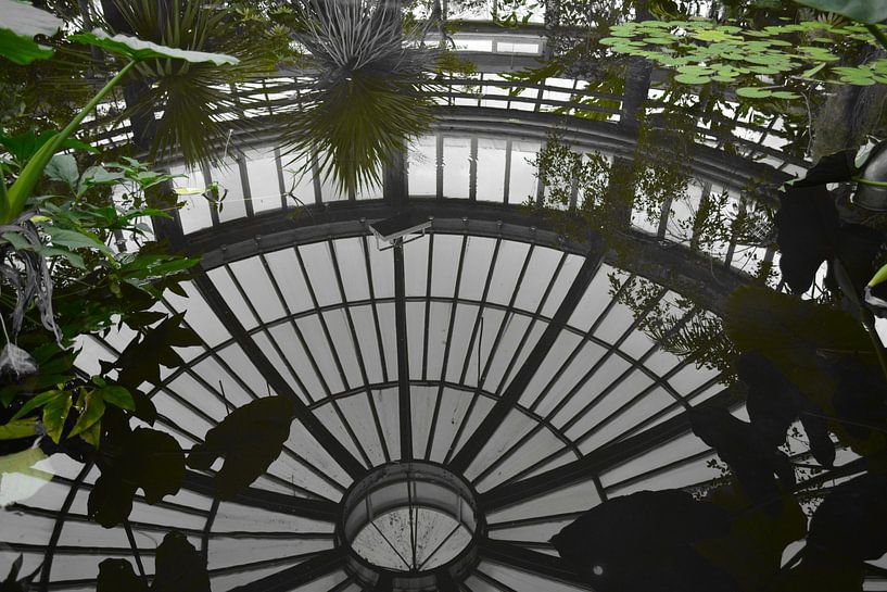 Réflexion par FotoGraaGHanneke