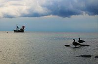 Take me with you, Captain...