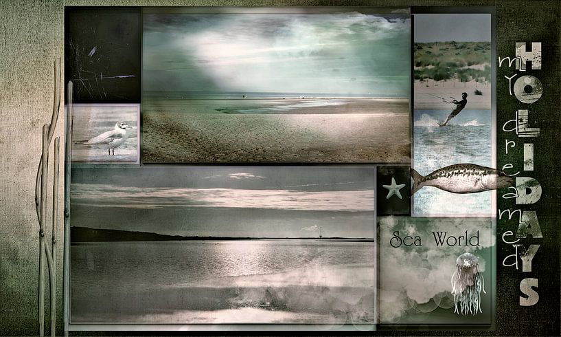 Meine erträumten Ferien von Carla van Zomeren