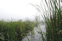 Mühle im Schilfbett