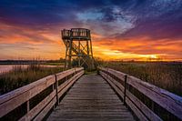 Aussichtsturm bei Kolham